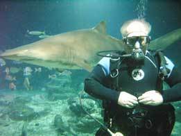 Don Reid Swimming With Sharks