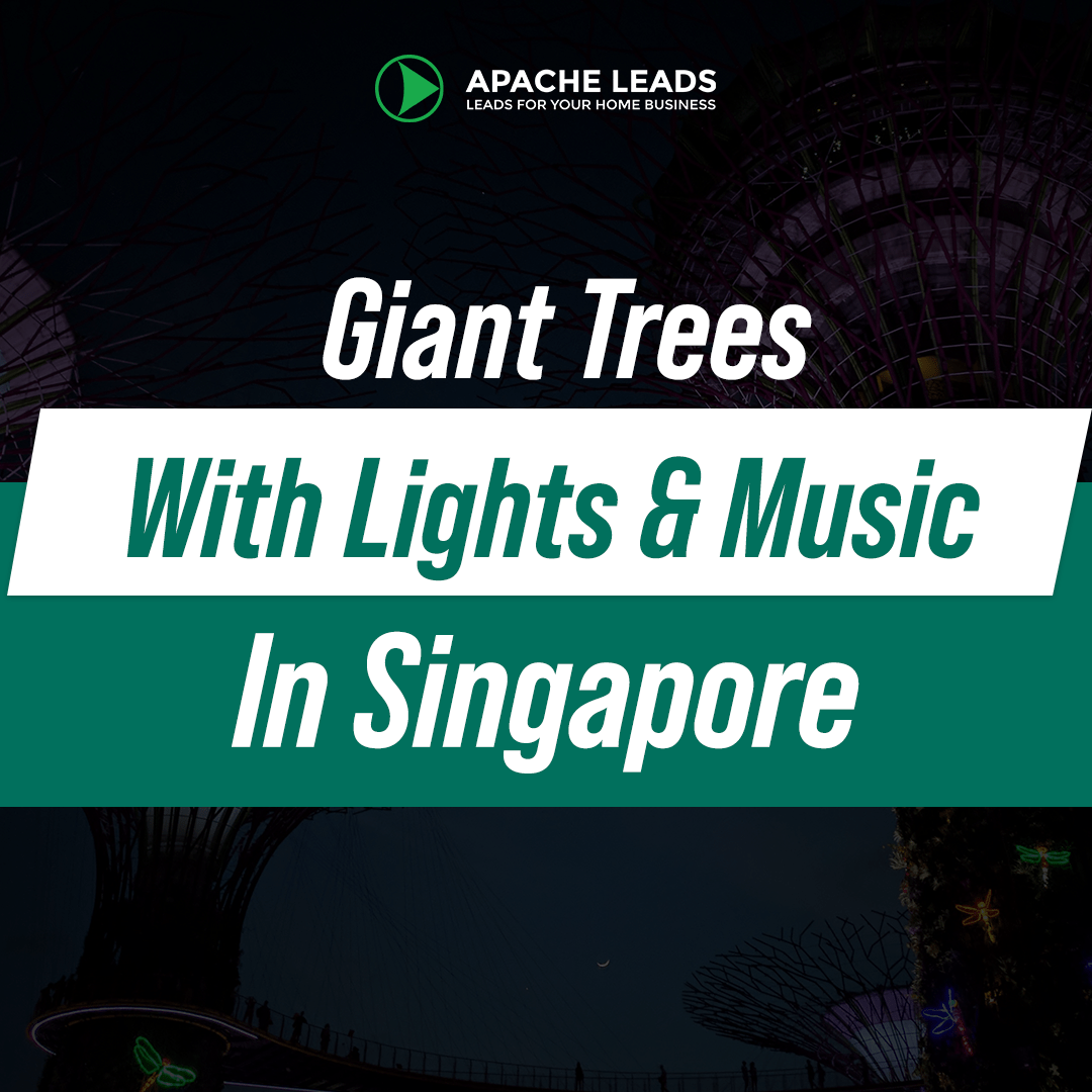 Giant Trees With Lights & Music In Singapore